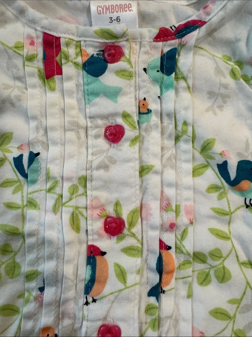 Gymboree White Ruffle Dress with Colorful Bird Print